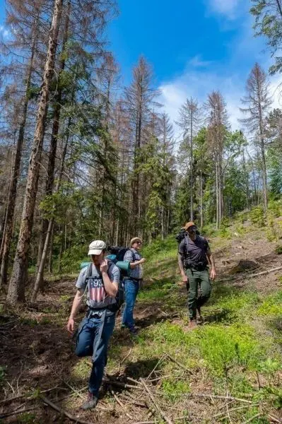 Drei Personen wandern mit Rucksäcken durch einen bewaldeten Bereich